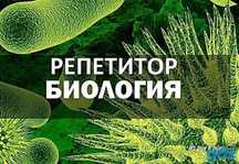 Репетитор по биологии