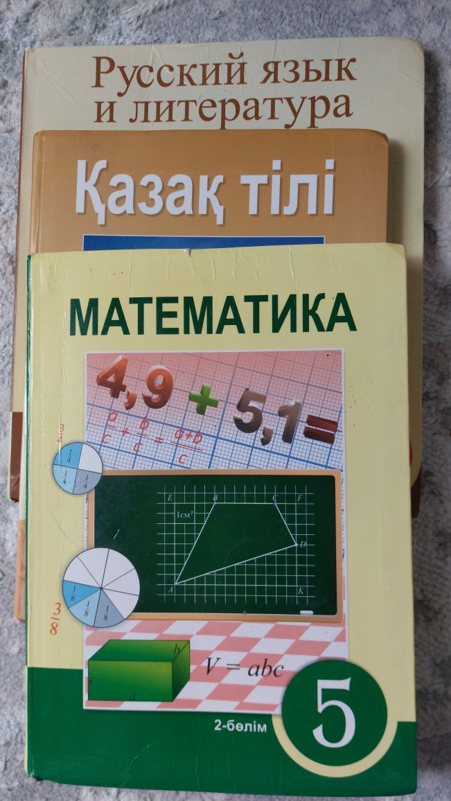 5сынып кітаптары