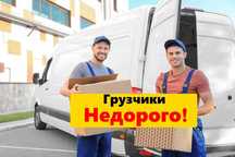 Грузчики Недорого Алматы