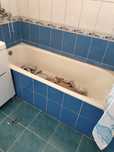 Продам ванну хорошем состоянии