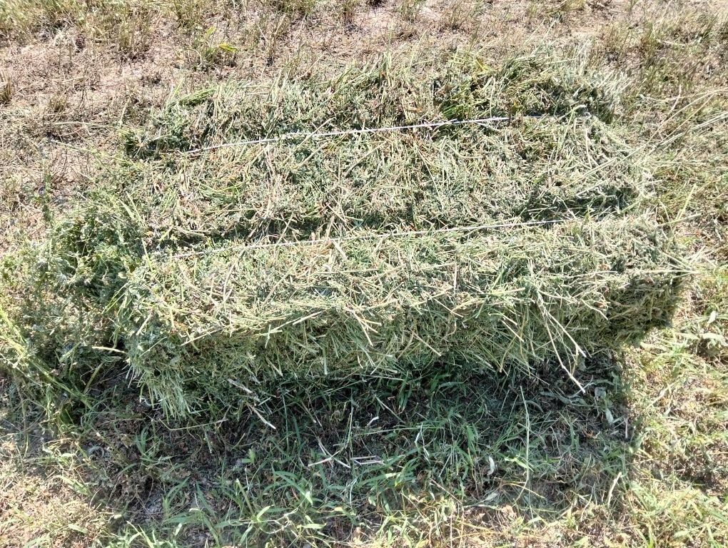 Продам люцерну..