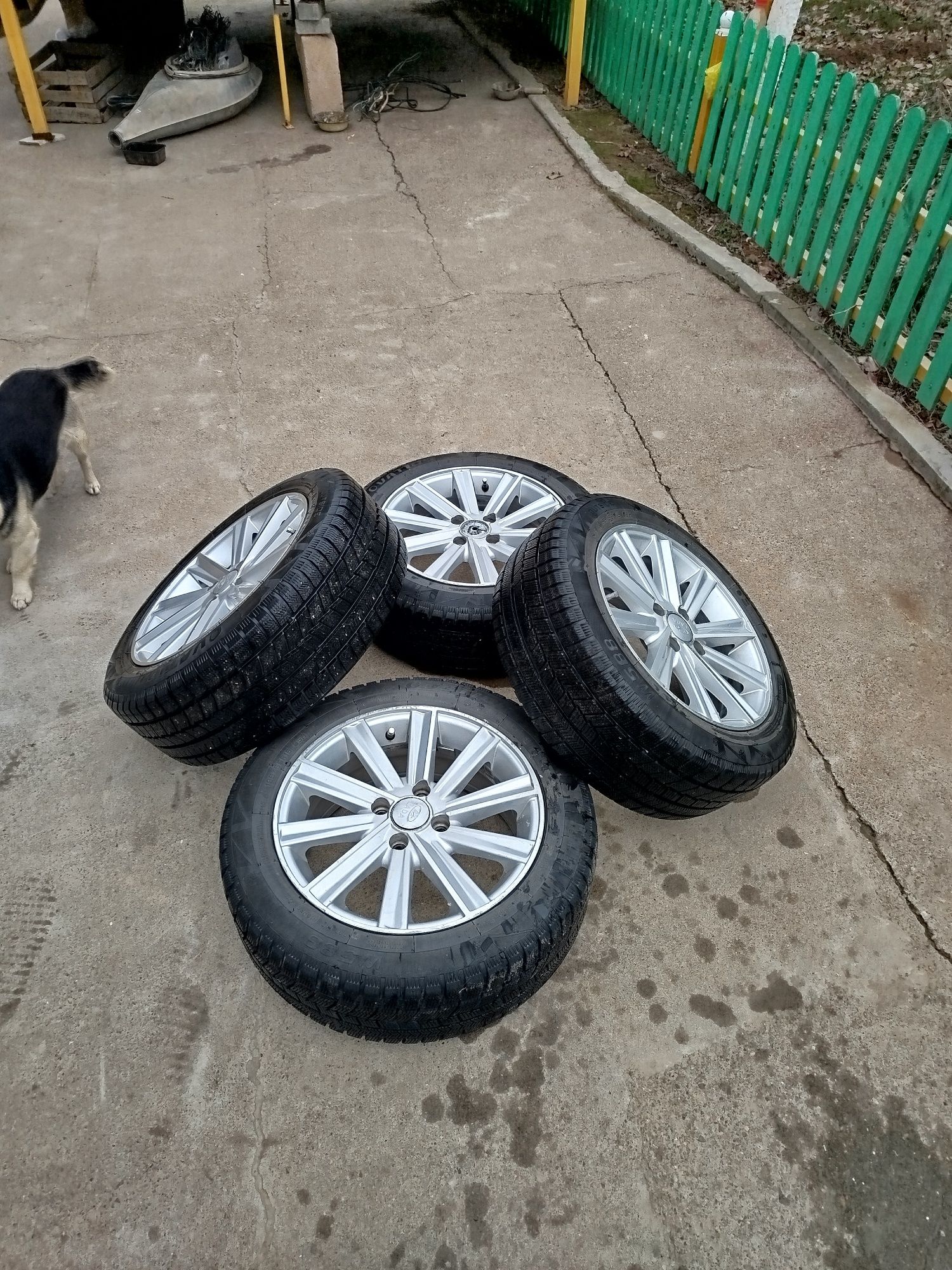 Камрики дикасы р15