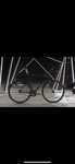 Level up fixed gear bike