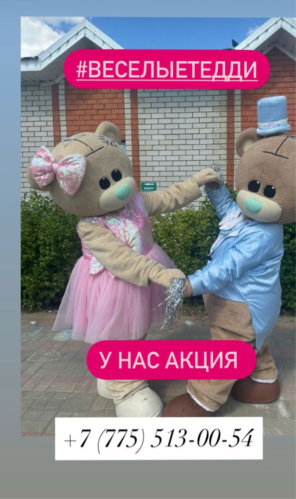 Мишка Тедди на прокат Аниматоры