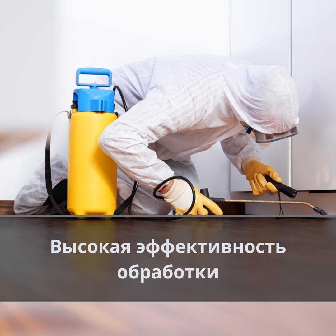 Дезинфекция клопов муравьев тараканов крыс Государственная Лицензия