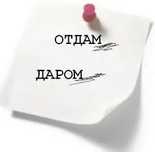 Отдам даром одежду