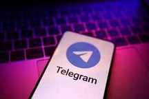 Сделаю Telegram бота
