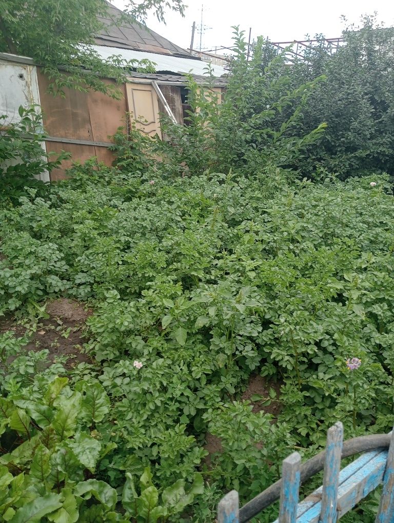 Продам дом в соцгороде