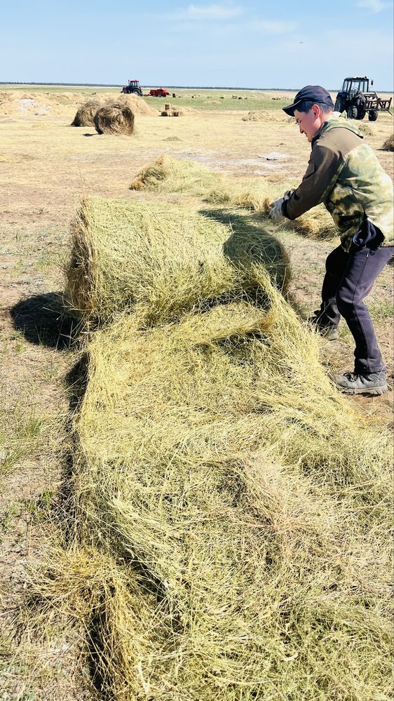 Рулон житняк разнотравие