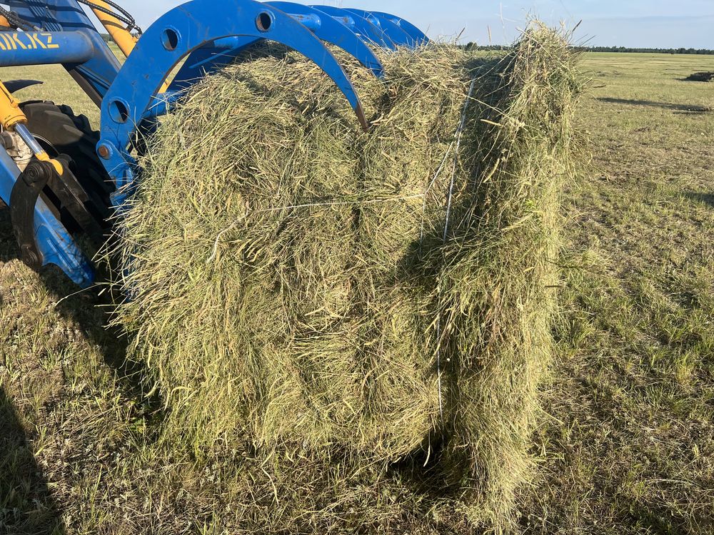 Продам сено, луговое разнотравье