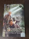 бегущий в лабиринте книга