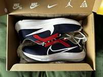 Новые беговые кроссовки Nike Pegasus 40 PSG US9 EUR42,5 RU41,5