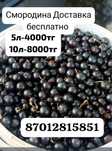 Смородина уральск