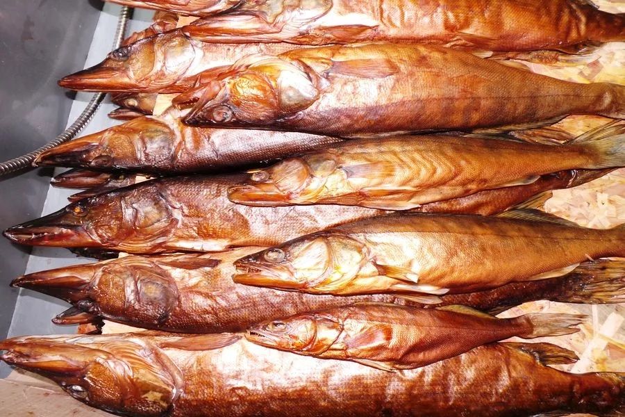 Горячее копчение! Вкуснейшая рыба с доставкой — окунь, судак, щука