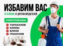 Уничтожение насекомых и грызунов. Гарантия