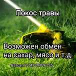 Покос травы обмен на продукты