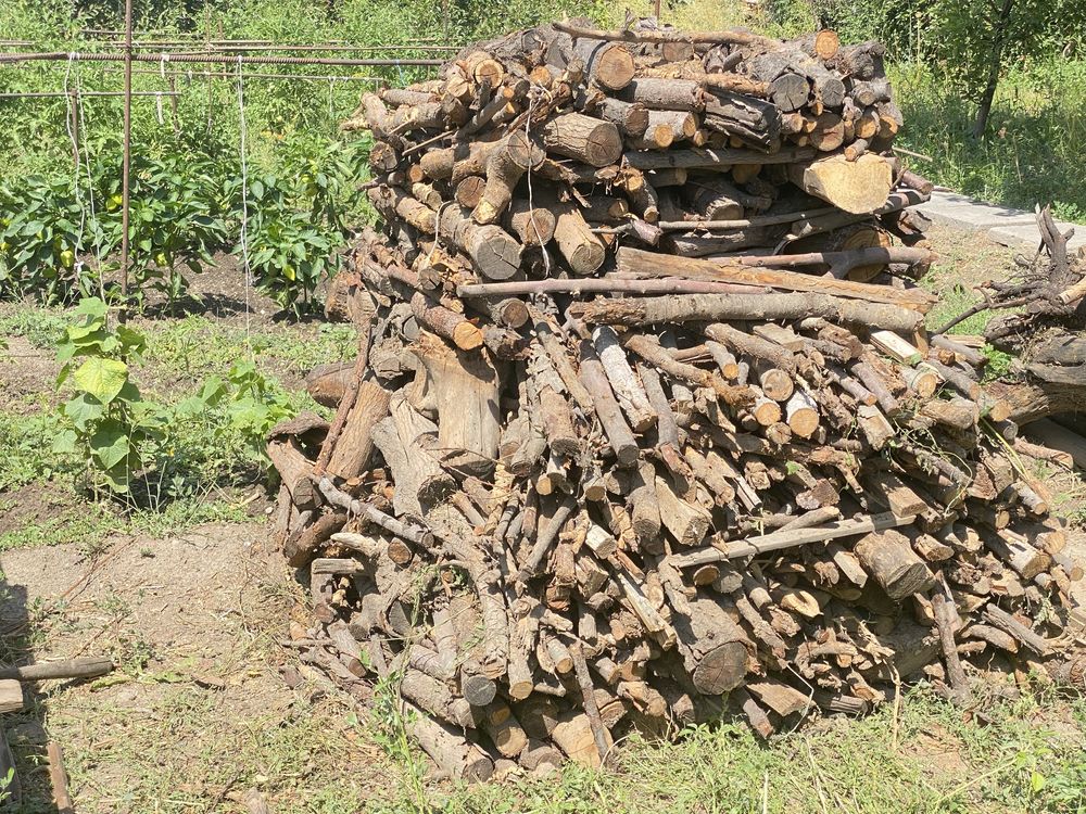 Продам дрова сухие