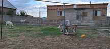 Ровный ауылында үй сатылады