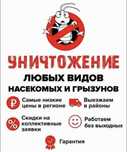 Дезинфекция уничтожение тараканов клопов муравьев ос крыс