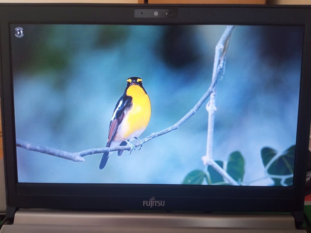 Ноутбук Fujitsu E734