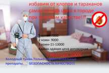 Уничтожение всех видов насекомых. Низкие цены! Качество 100%