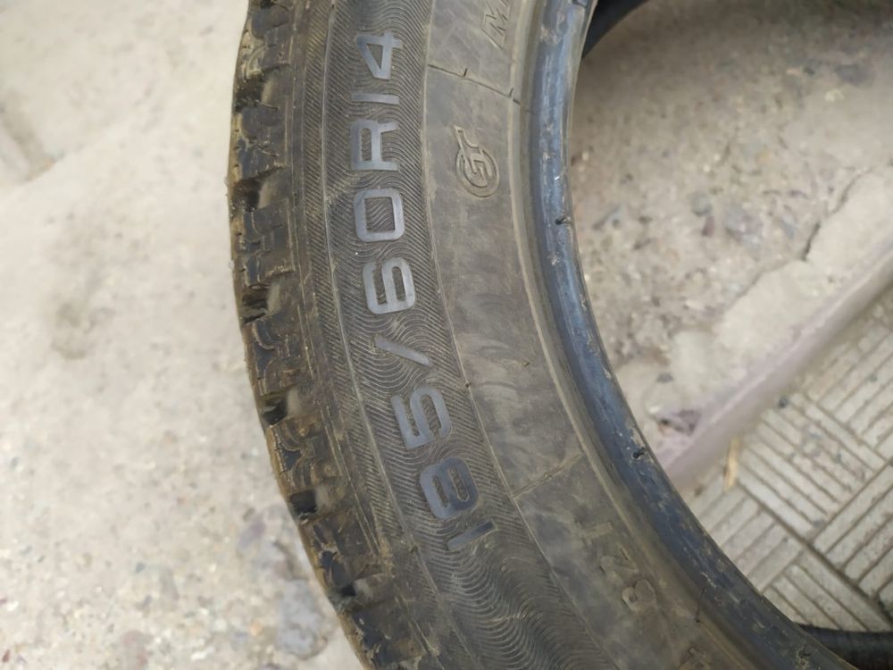 Шины с шипами MAXXIS NP5 185/60/14