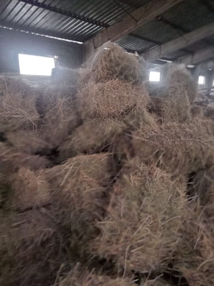 Продам сено в тюках люцерна