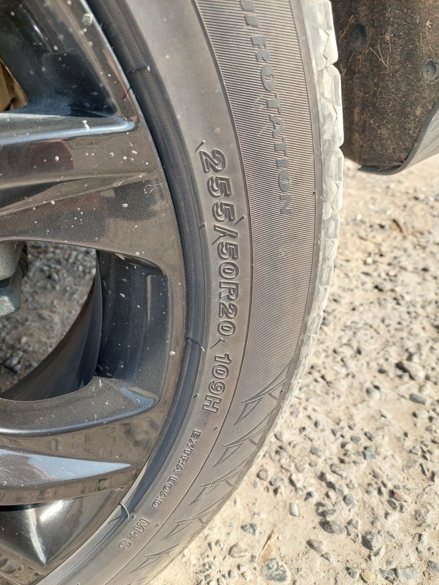 Продам шины липучки 255.50.р20