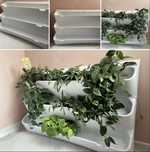 Фитомодули для растений
