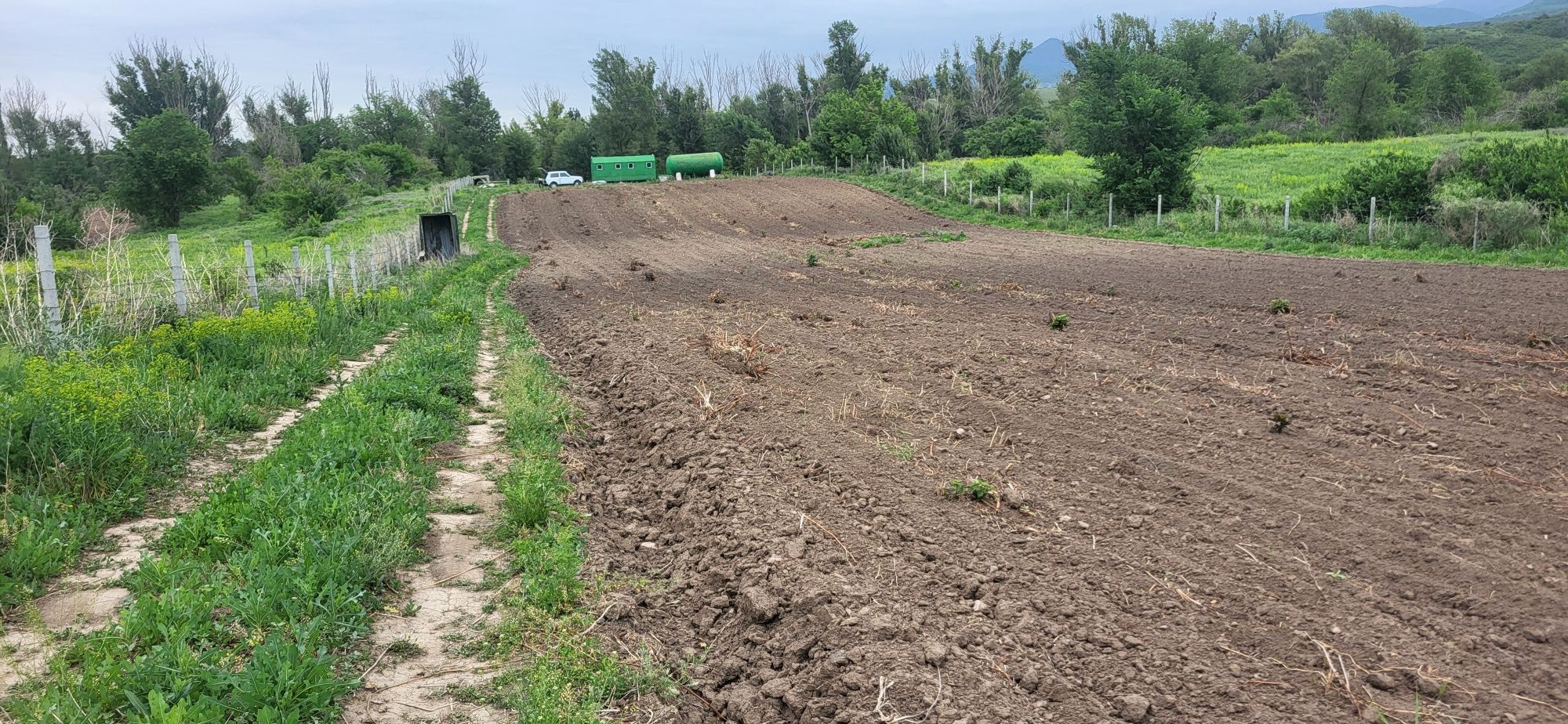 Земля 1 га, выкуплена.