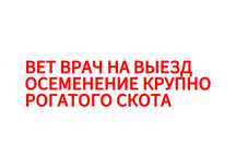 Искуственное осеменение Крупно рогатого скота