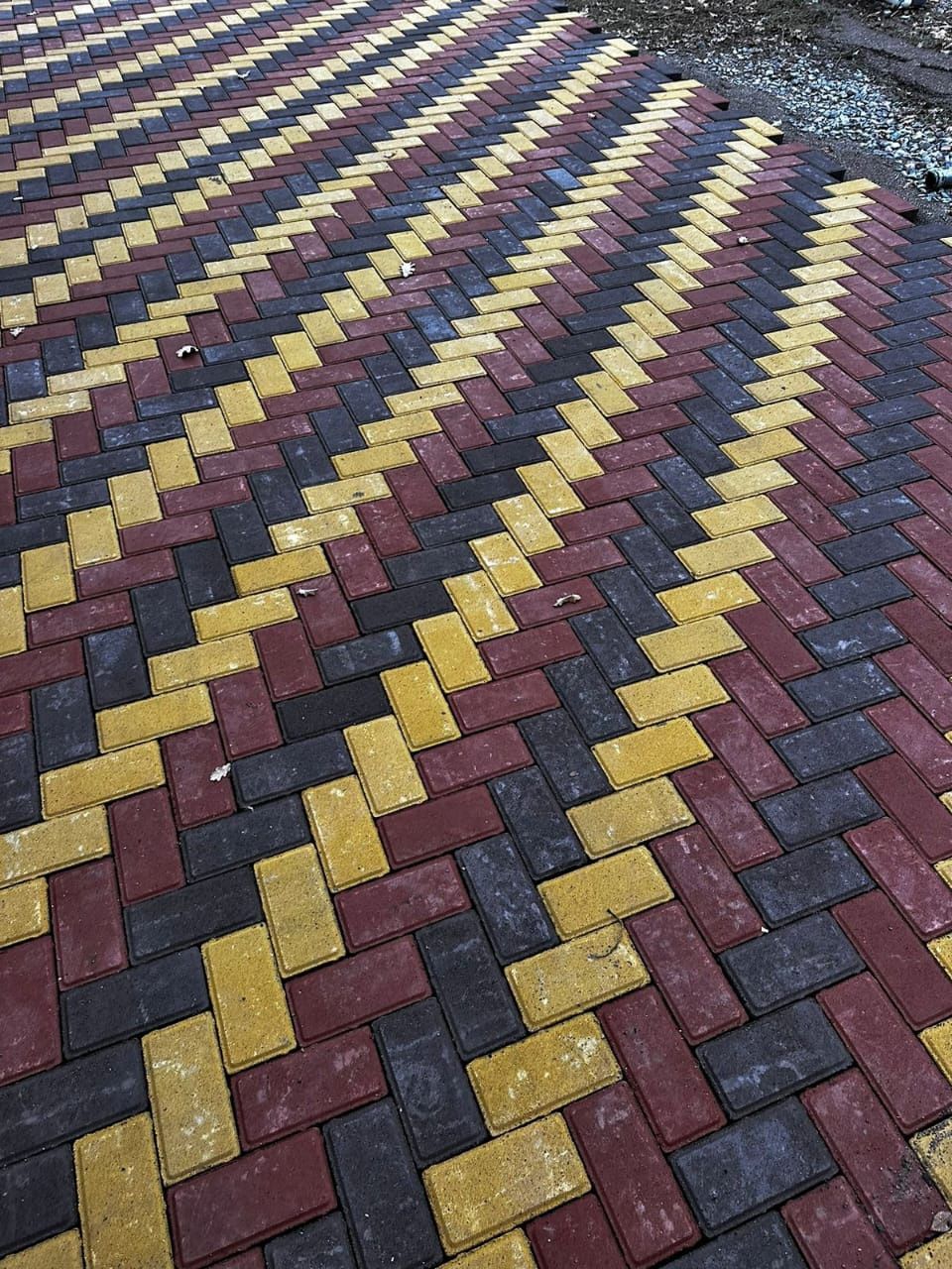 Бурщатка тосимыз