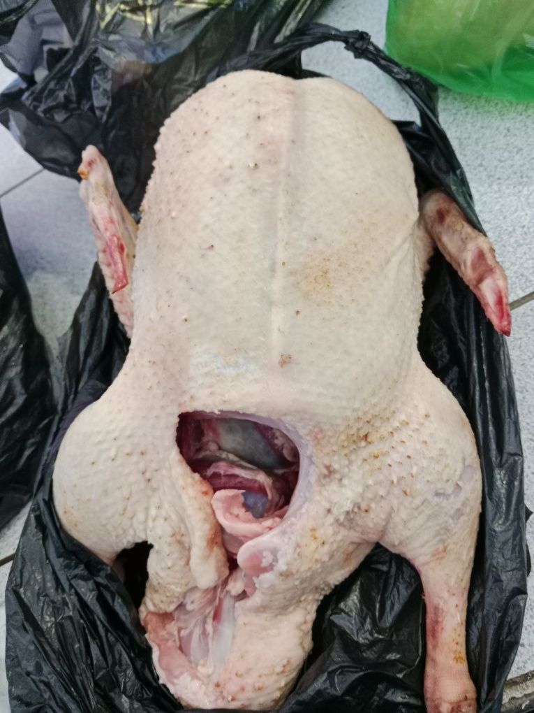 Продаю уток,жирные и домашние,росли на свободным выгуле..