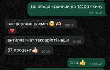 Дипломная работа
