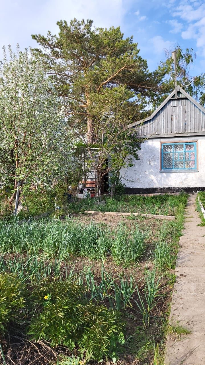 Продаётся дача в СПП с домом,баней и летней кухней