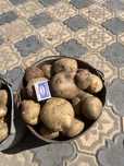 Продам Картошка Семенной крупный