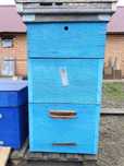 Улья для пчёл , Костанай, от 15000б/у