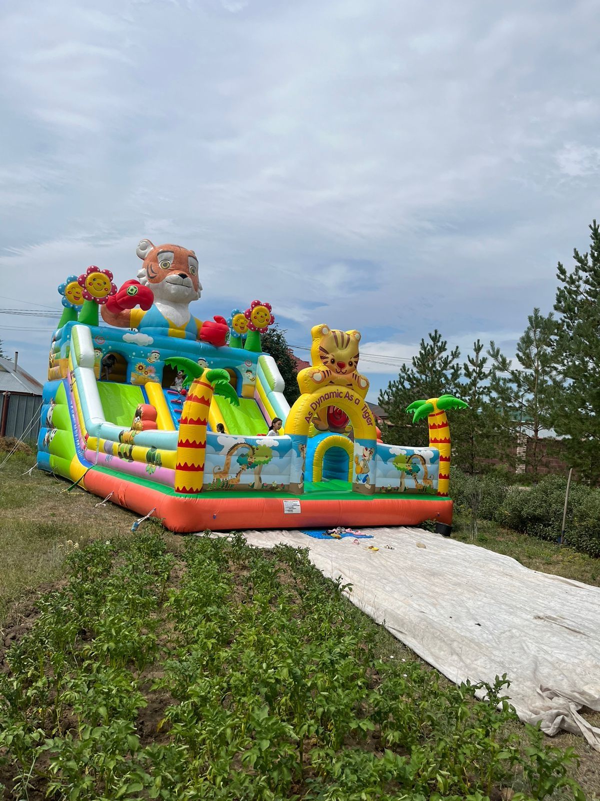 Аренда батутов. Батут Шар. Все для праздника