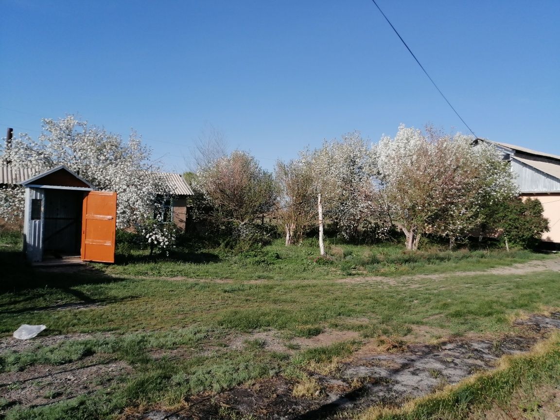 Продажа дом в Маканчи