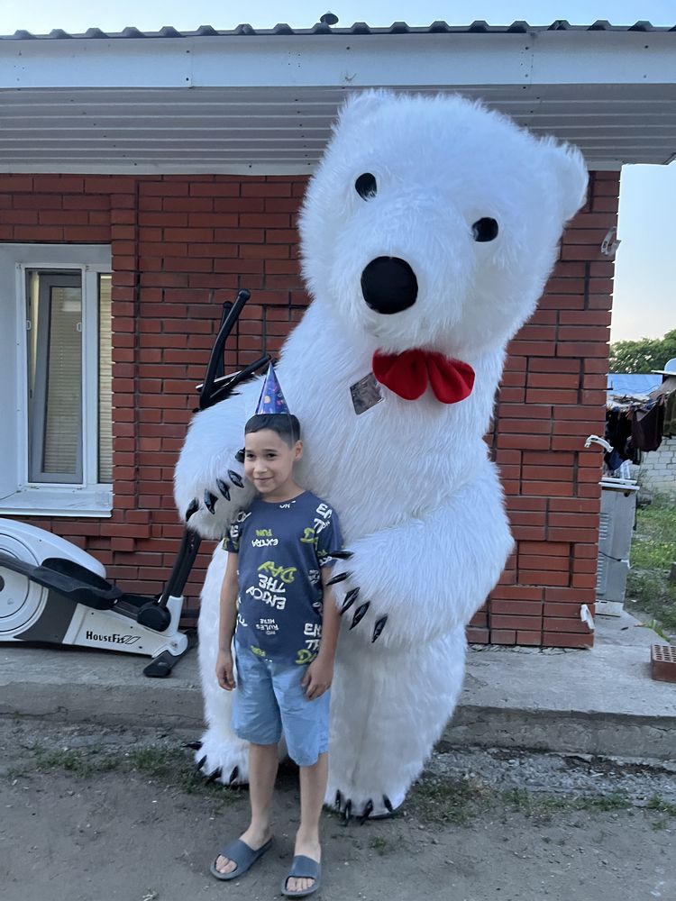 Счастье на выезд, Мишки, Панды, Чебурашки, Винни пух