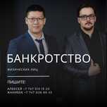 Юрист-Адвокат, Банкротство физ. и юр. лиц , Графики, Аресты