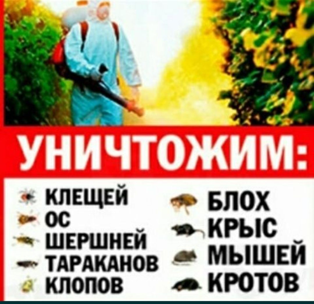 Дезинсекция от Тараканов в Алматы Гарантия 100%! Холодным тумано