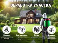 ‼️ Обработка от клещей клеща клопов тараканов блох Бирлик ‼️