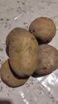 Продам дачный едовой картофель.