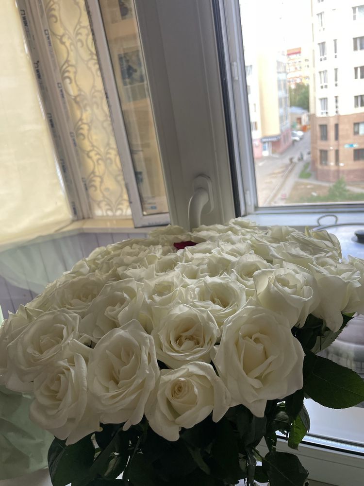 Роза 51 штука севодня куплено 15 тыс дам сам 30 ку
