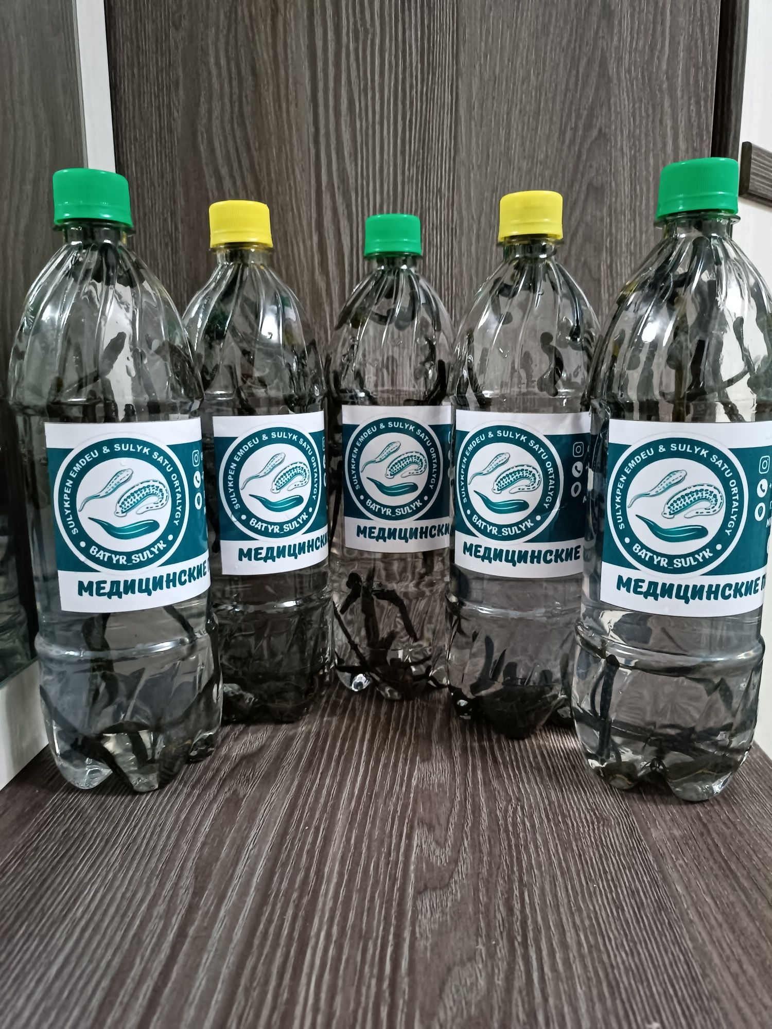 Пиявки, пиявка, суликтер, сүліктер