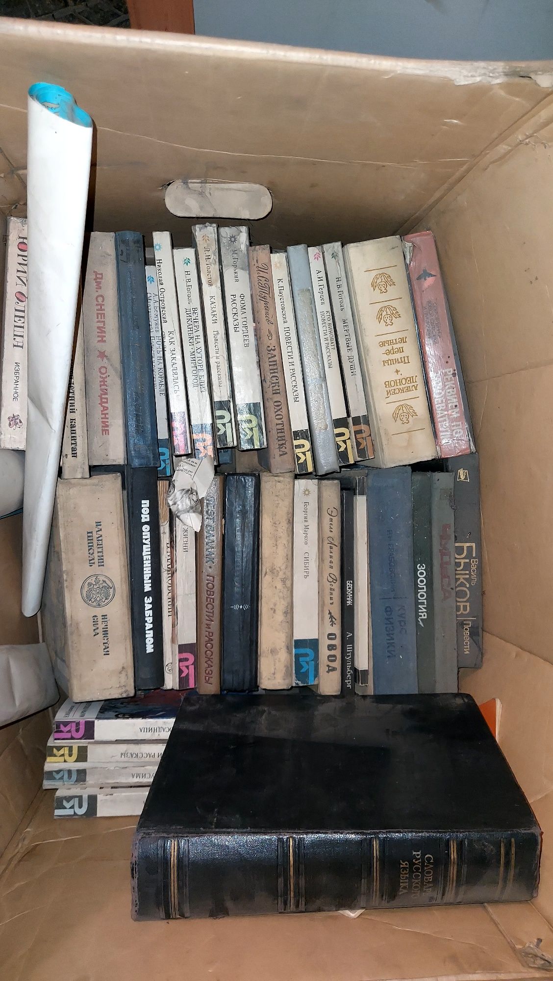 Книги художественные и по электротехнике