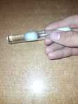 Продам муравьиную королеву lasius niger