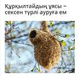 Құрқұлтайдың ұясы