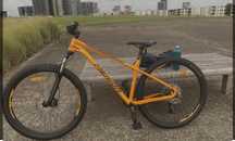 Merlda big trail 200 29
